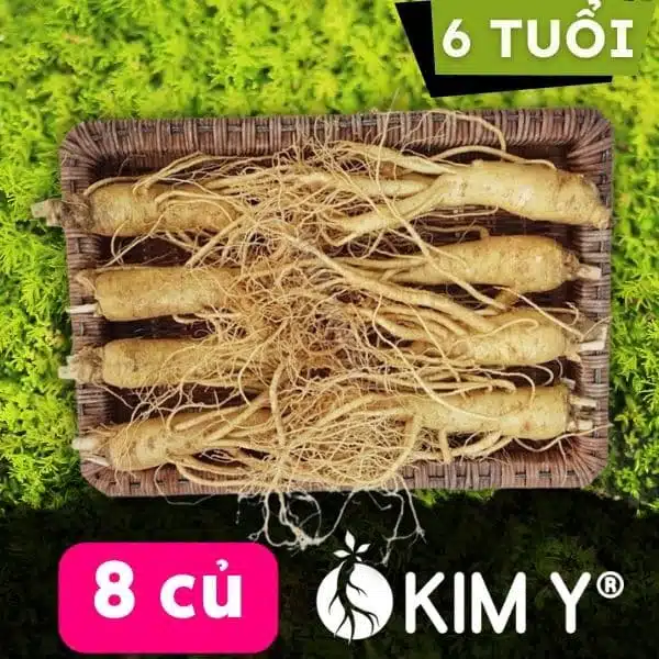Nhân sâm tươi Hàn Quốc 8 củ 1kg - KIM Y