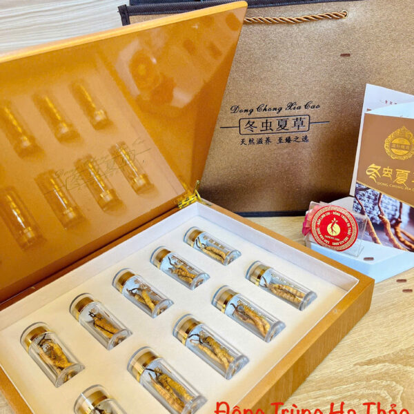 đông trùng hạ thảo tây tạng