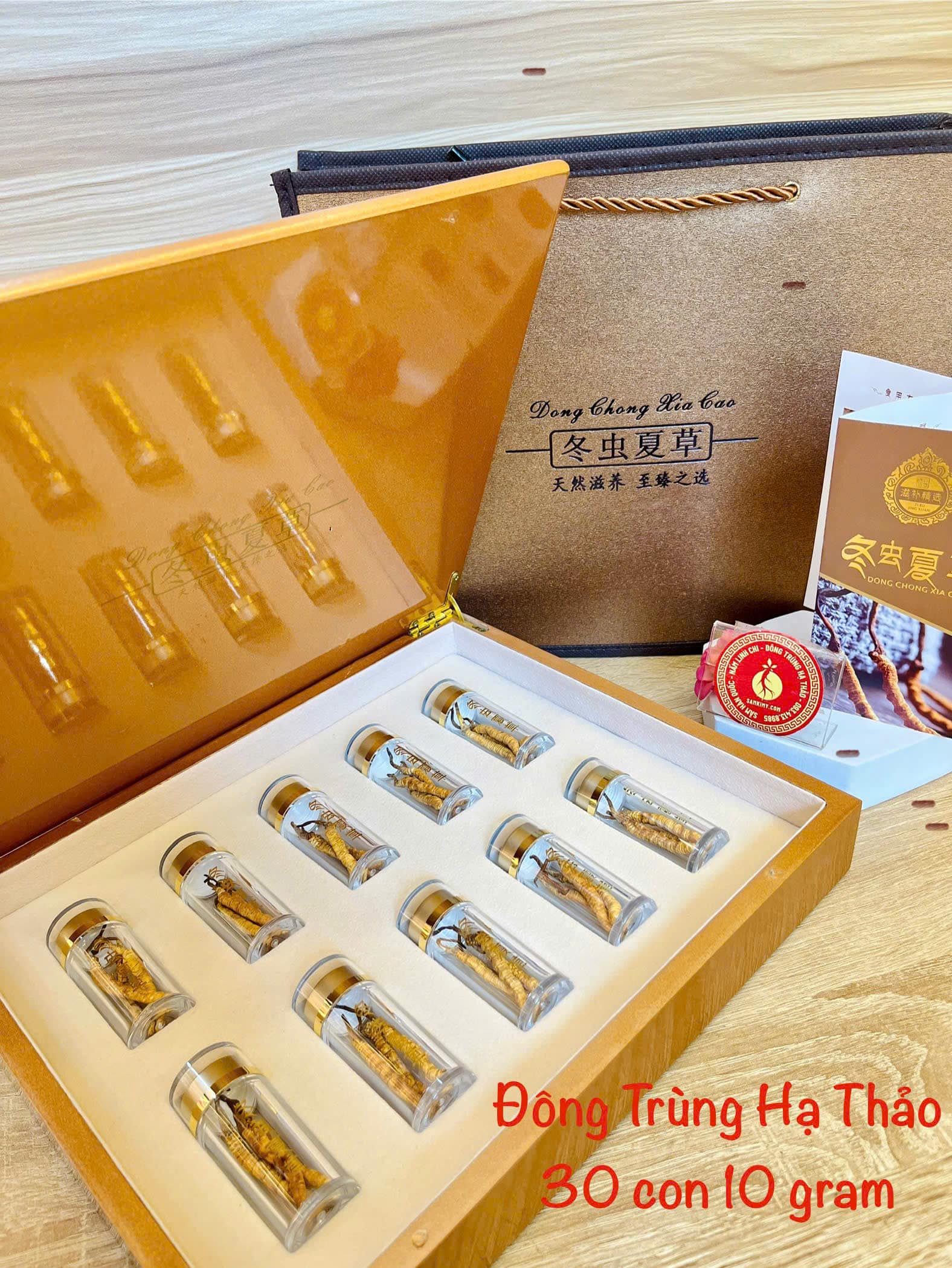 đông trùng hạ thảo tây tạng