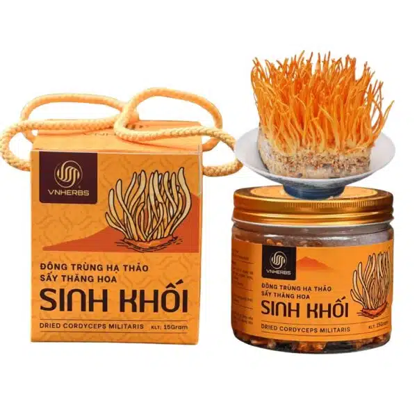 Đông Trùng Hạ Thảo sấy thăng hoa – Sinh khối