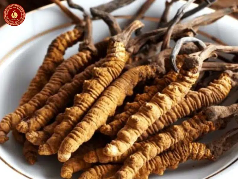 trẻ mấy tuổi ăn được đông trùng hạ thảo