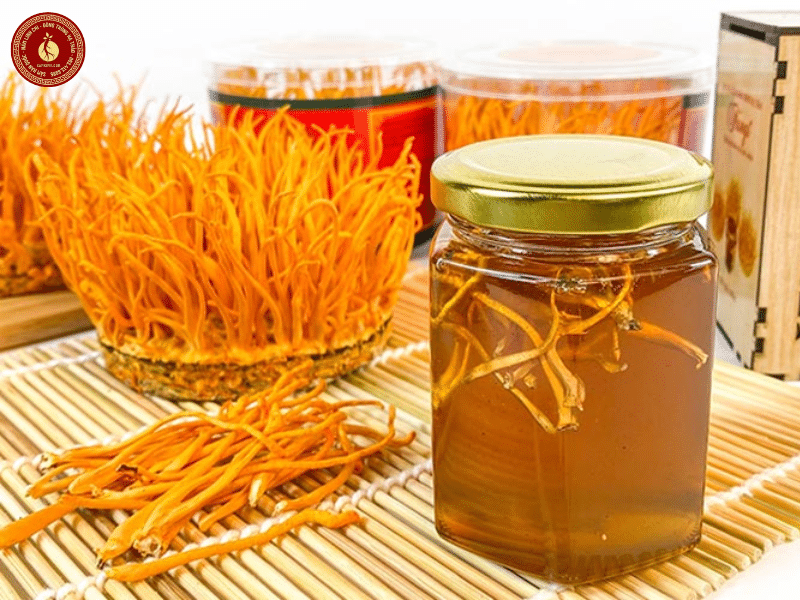 trẻ mấy tuổi ăn được đông trùng hạ thảo trẻ mấy tuổi ăn được đông trùng hạ thảo