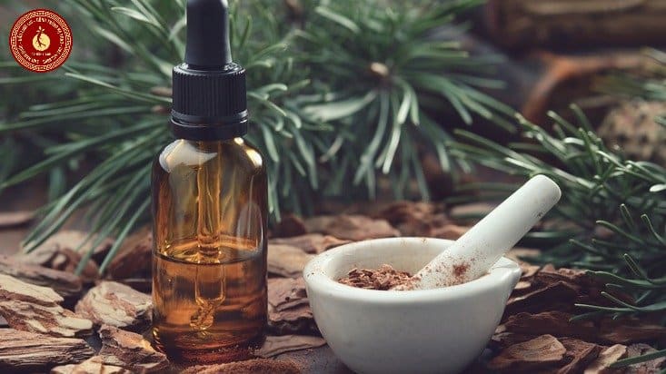 Có nên uống tinh dầu thông đỏ thường xuyên