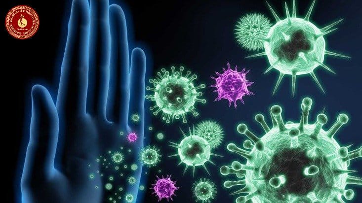 Có nên uống tinh dầu thông đỏ thường xuyên