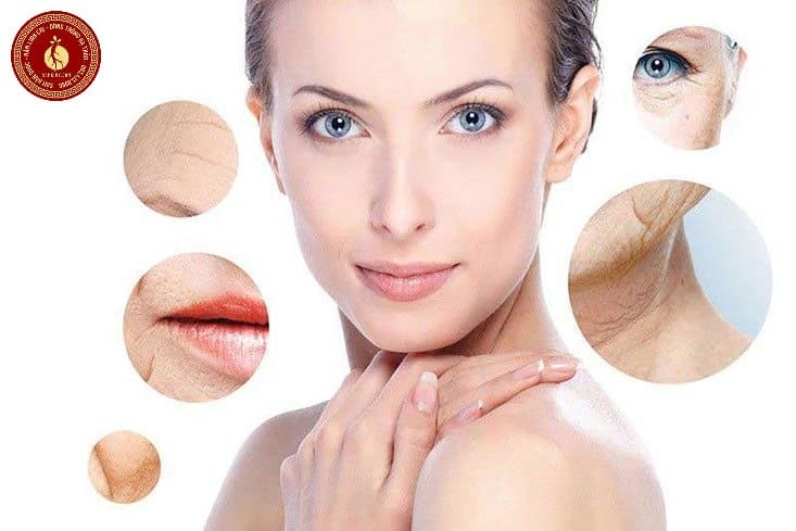 Có nên uống tinh dầu thông đỏ thường xuyên