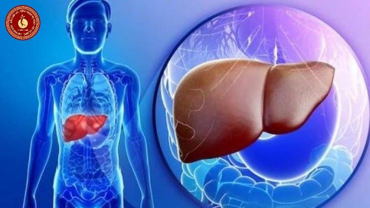 Có nên uống tinh dầu thông đỏ thường xuyên