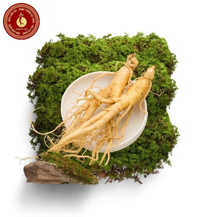 sâm hàn quốc 6 năm tuổi