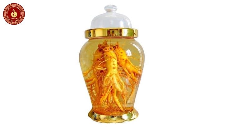 giá hộp sâm hàn quốc 6 năm tuổi