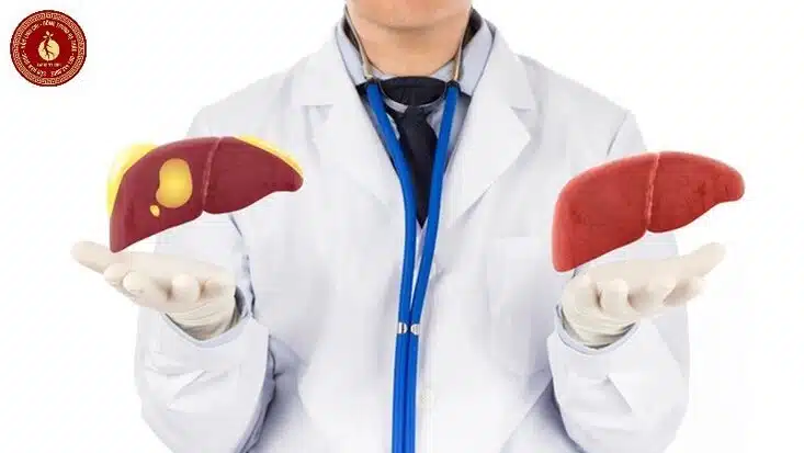 tác dụng của đông trùng hạ thảo với đàn ông