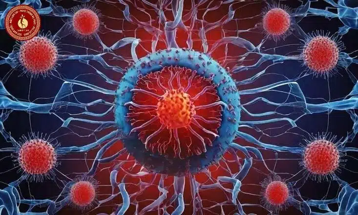 tác dụng của đông trùng hạ thảo với đàn ông