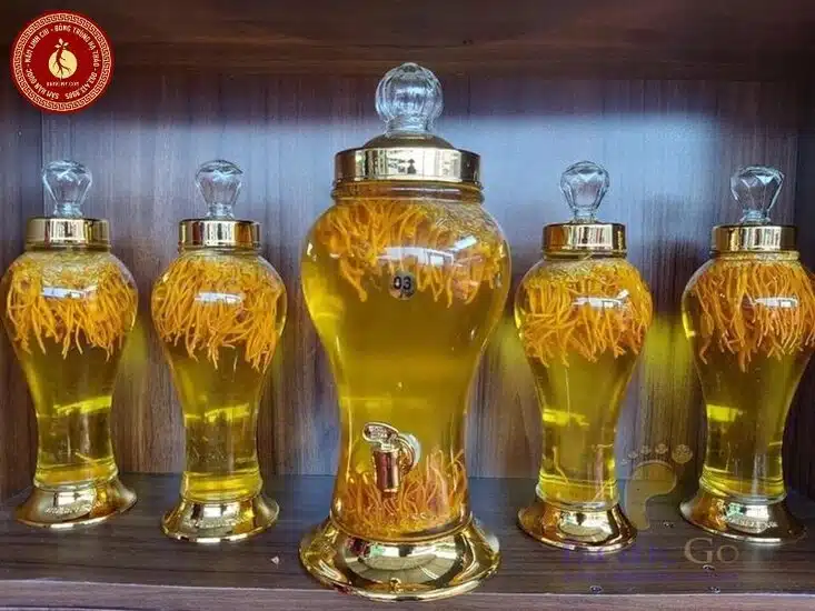 tác dụng của đông trùng hạ thảo với đàn ông