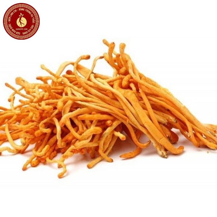 1kg đông trùng hạ thảo giá bao nhiêu