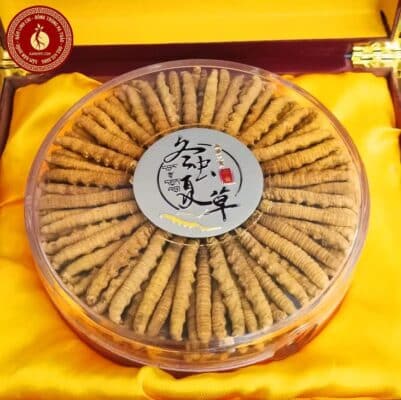 1kg đông trùng hạ thảo giá bao nhiêu