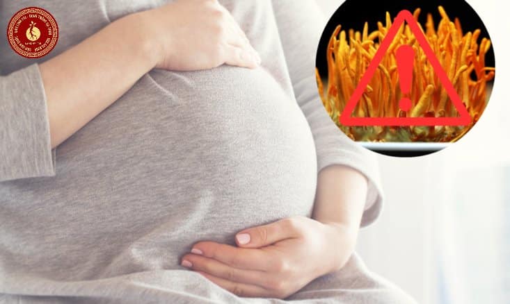 ai không nên dùng đông trùng hạ thảo