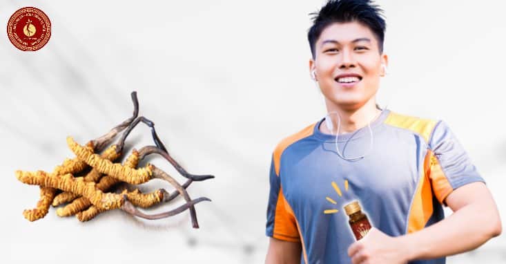 những ai không nên uống đông trùng hạ thảo