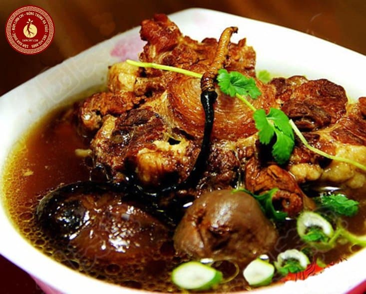 cách chế biến đông trùng hạ thảo tây tạng