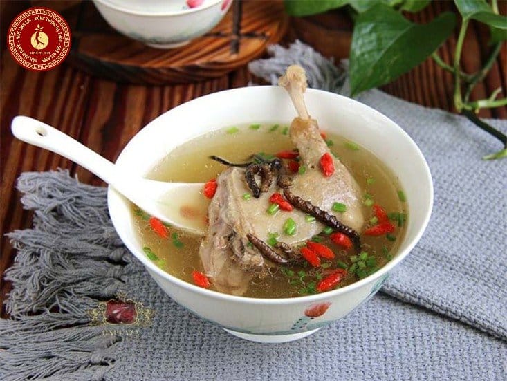 cách chế biến đông trùng hạ thảo tây tạng