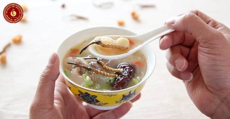 cách chế biến đông trùng hạ thảo tây tạng