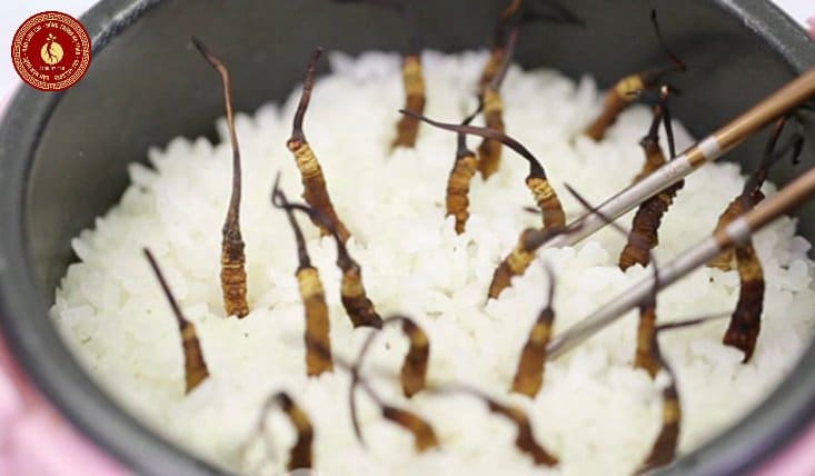 cách chế biến đông trùng hạ thảo tây tạng