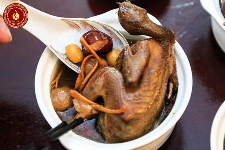 cách chế biến đông trùng hạ thảo tây tạng