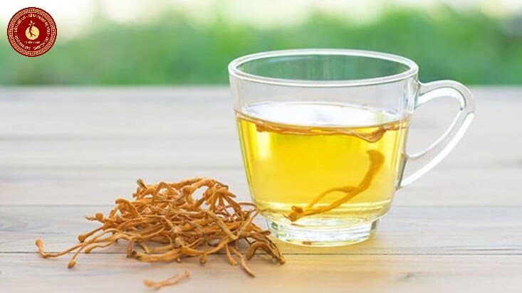 Đông trùng hạ thảo Tây Tạng có tác dụng gì