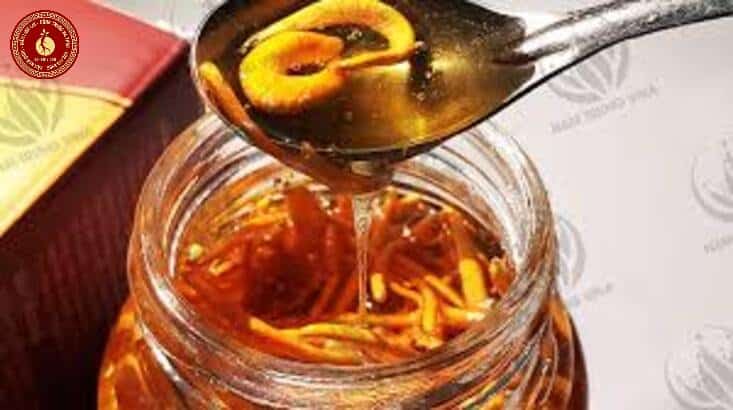 Đông trùng hạ thảo Tây Tạng có tác dụng gì