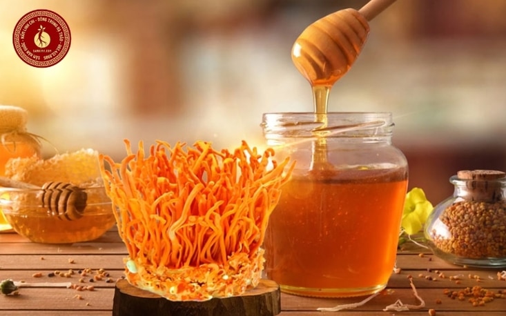 tỷ lệ ngâm đông trùng hạ thảo mật ong