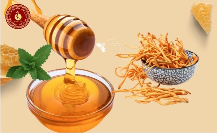 tỷ lệ ngâm đông trùng hạ thảo với mật ong