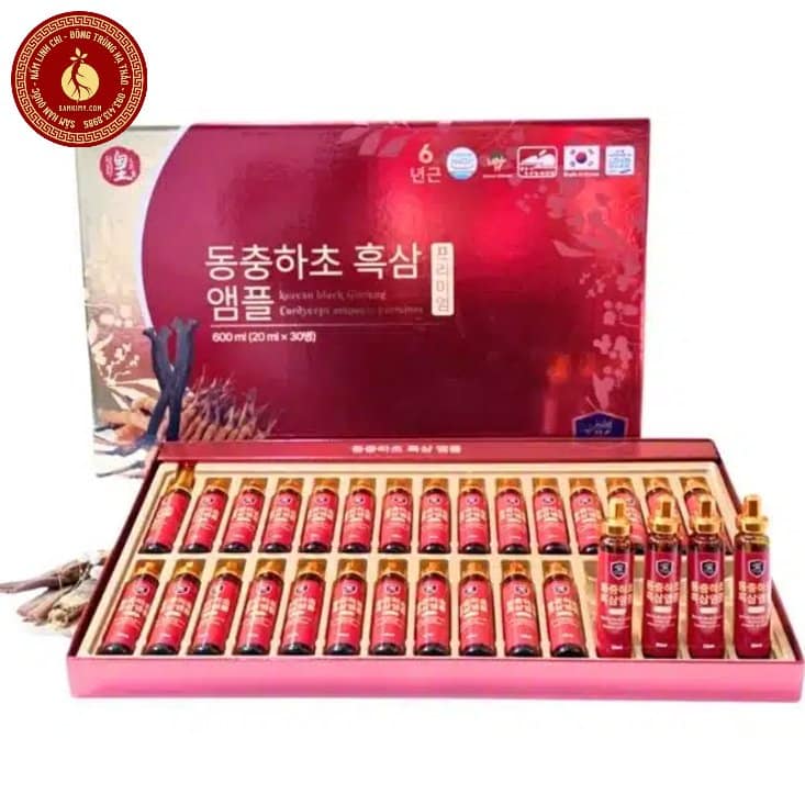 uống đông trùng hạ thảo vào lúc nào tốt nhất
