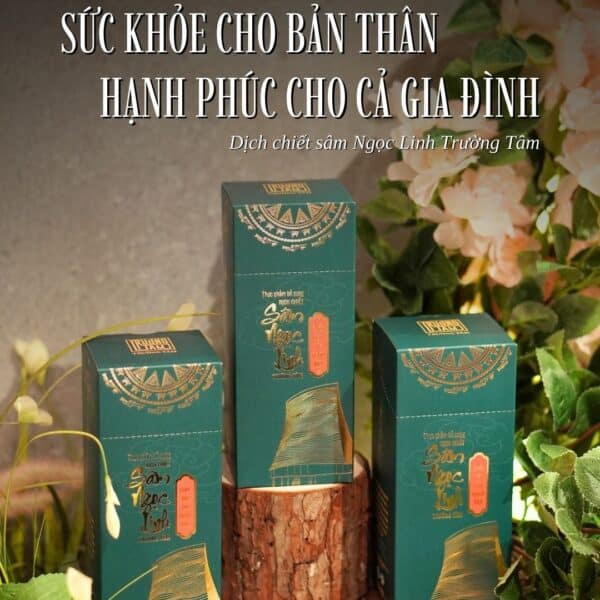Sâm ngọc linh trường nhân