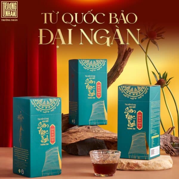 Sâm ngọc linh trường nhân