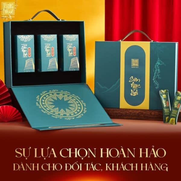 Sâm ngọc linh trường nhân