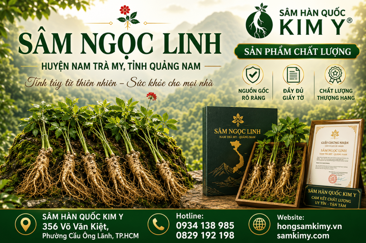 Sâm Ngọc Linh